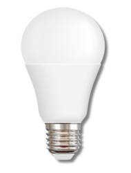 AC/DC BULB