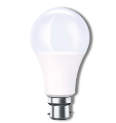 AC/DC Bulb 12w